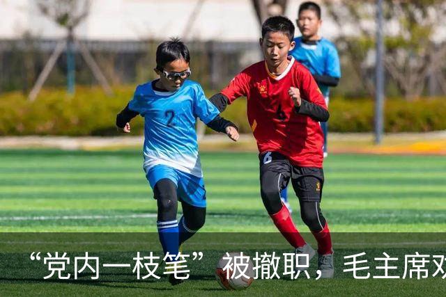 “党内一枝笔”被撤职，毛主席劝慰：你依旧可以担任省委书记